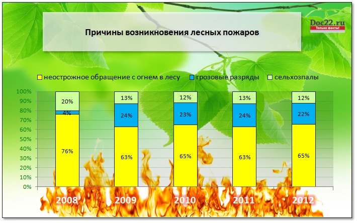 Doc22.ru Алтайский край. Причины возникновения лесных пожаров