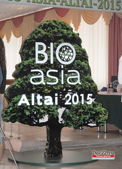 Doc22.ru Алтайское БИО-дерево, хоть и искусственное, но сверкало и переливалось как настоящая новогодняя елка, символизируя блестящие перспективы алтайских биотехнологий.
