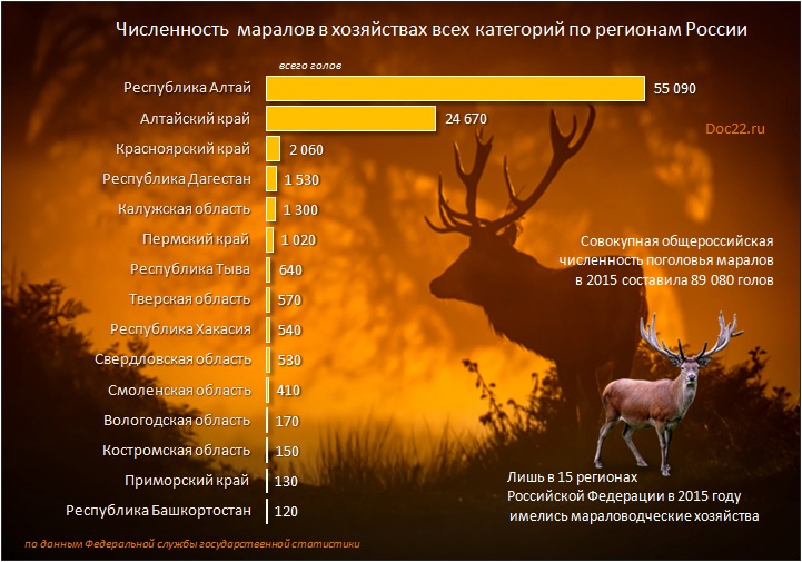 Doc22.ru Численность  маралов в хозяйствах всех категорий по регионам России в 2015 году.