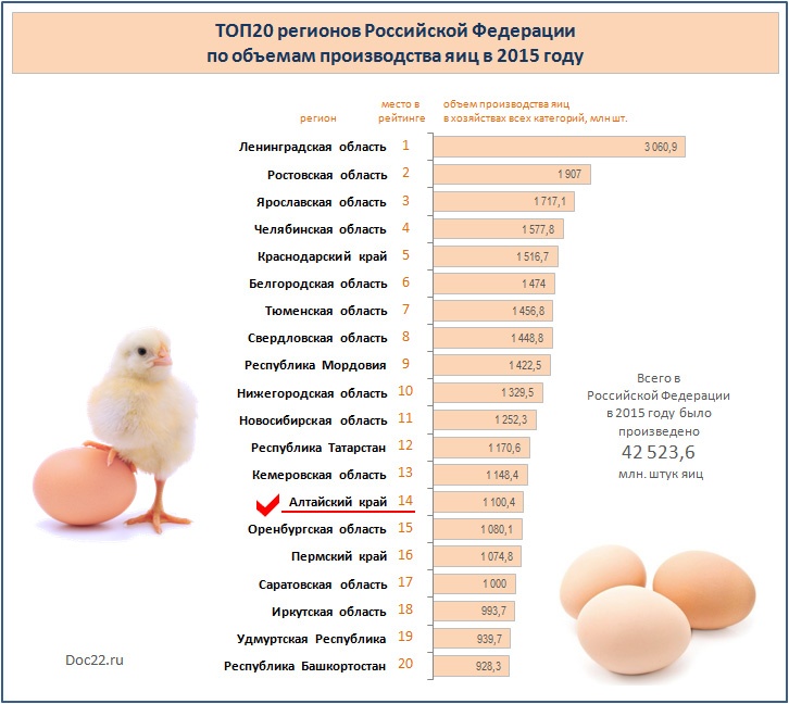 Doc22.ru ТОП20 регионов Российской Федерации по объемам производства яиц в 2015 году