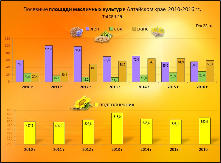 Doc22.ru Посевные площади масличных культур в Алтайском крае  2010-2016 гг, тысяч га