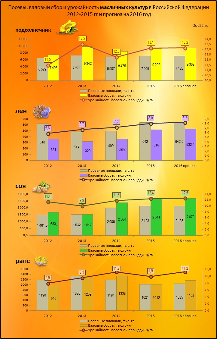 Doc22.ru Посевы, валовый сбор и урожайность масличных культур в Российской Федерации  2012-2015 гг и прогноз на 2016 год