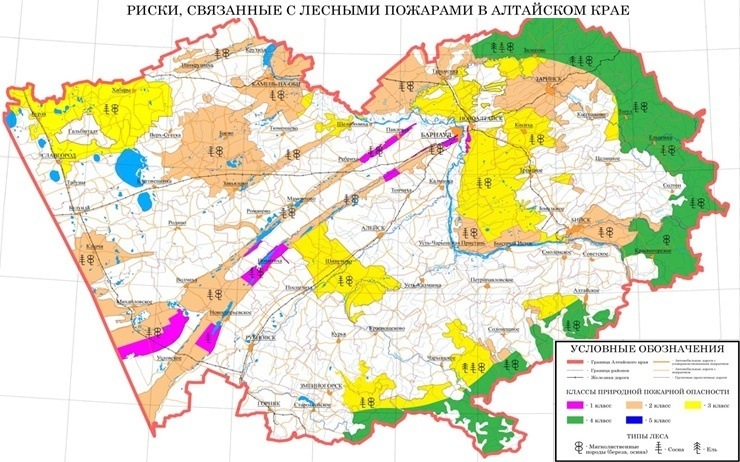 Doc22.ru Риски, связанные с лесными пожарами в Алтайском крае