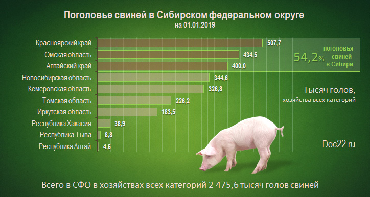 Doc22.ru Поголовье свиней в Сибирском федеральном округе  на 01.01.2019