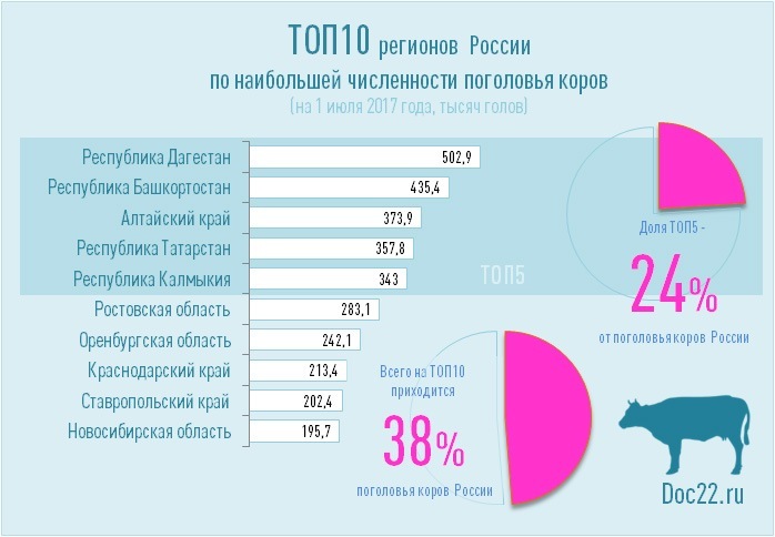 Doc22.ru ТОП10 регионов  России по наибольшей численности поголовья коров (на 1 июля 2017 года, тысяч голов)